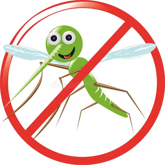 Mosquito